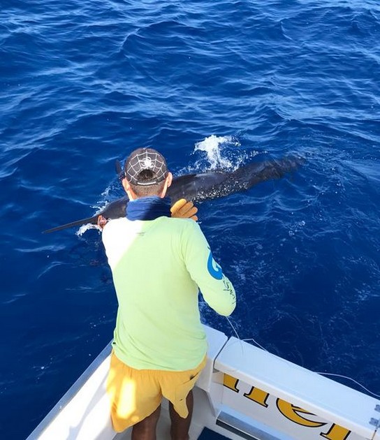 Welcome Cavalier & Blue Marlin Sport Fishing Gran Canaria