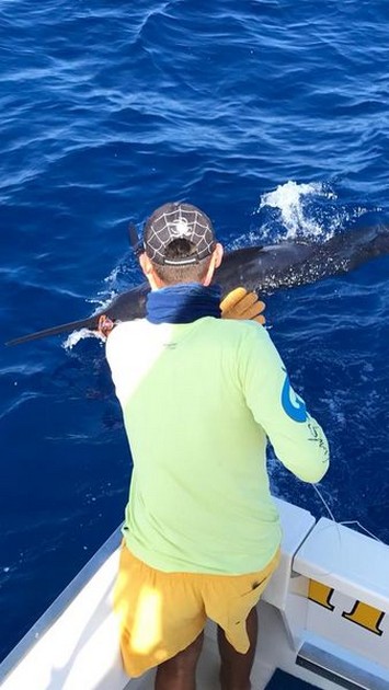 Well done Cavalier & Blue Marlin Sport Fishing Gran Canaria
