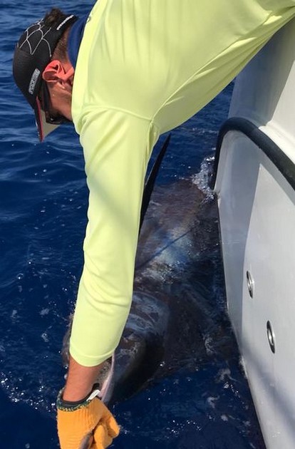 Congratulations Cavalier & Blue Marlin Sport Fishing Gran Canaria