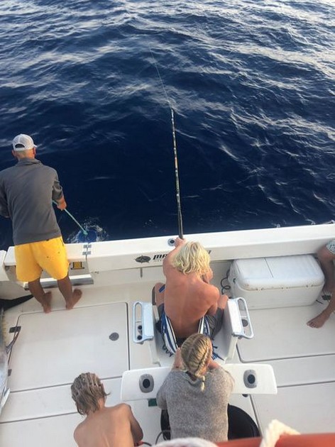 Hooked up Cavalier & Blue Marlin Sport Fishing Gran Canaria