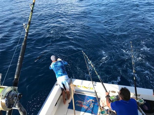 Hooked Up Cavalier & Blue Marlin Sport Fishing Gran Canaria