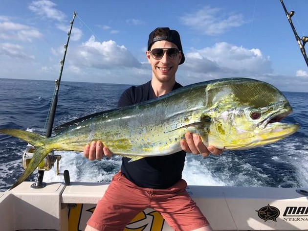 Dorado Cavalier & Blue Marlin Sport Fishing Gran Canaria