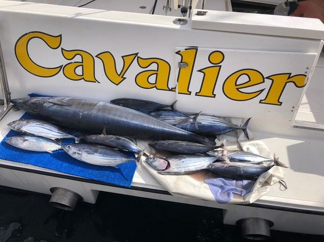  - Cavalier & Blue Marlin Sport Fishing Gran Canaria