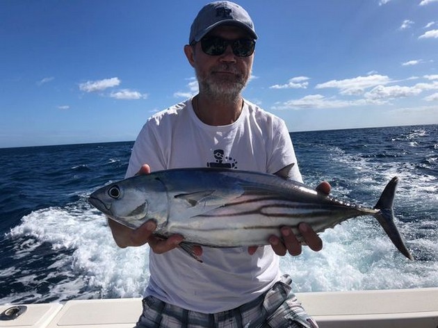 Skipjack Tuna Cavalier & Blue Marlin Sport Fishing Gran Canaria