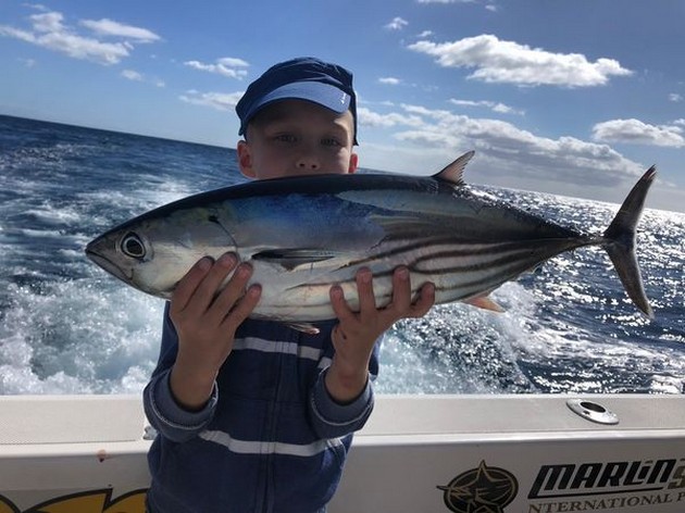 Skipjack Tuna Cavalier & Blue Marlin Sport Fishing Gran Canaria