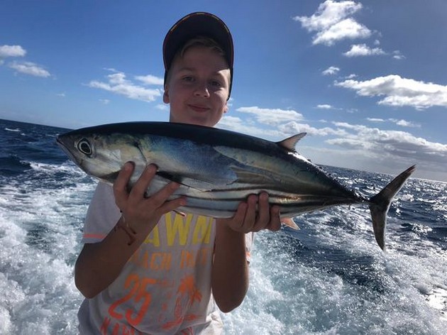 Skipjack Tuna Cavalier & Blue Marlin Sport Fishing Gran Canaria