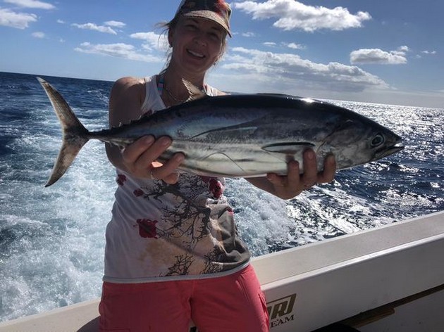 Skipjack Tuna Cavalier & Blue Marlin Sport Fishing Gran Canaria