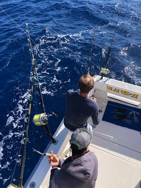 Hooked Up Cavalier & Blue Marlin Sport Fishing Gran Canaria