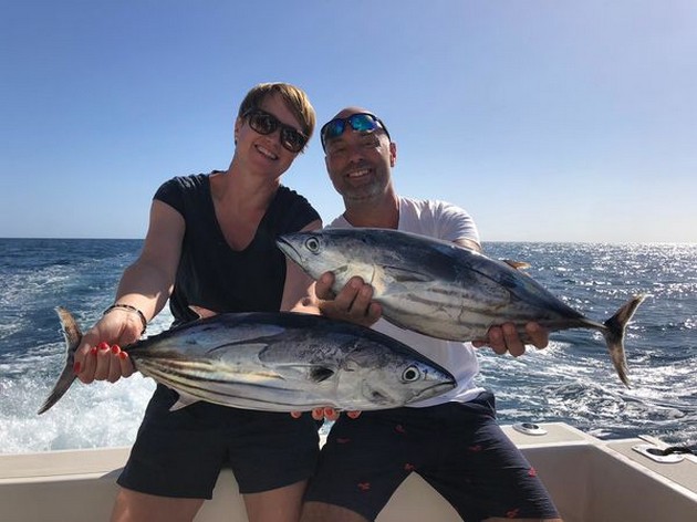 Skipjack tuna Cavalier & Blue Marlin Sport Fishing Gran Canaria