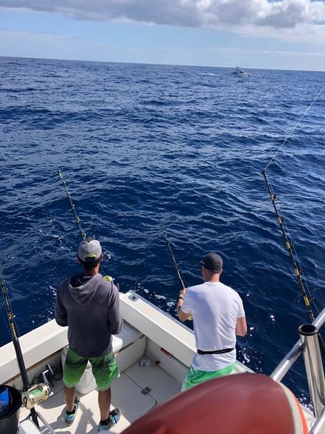 Wahoo Cavalier & Blue Marlin Sport Fishing Gran Canaria