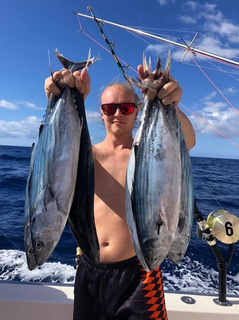 Skipjack Tuna Cavalier & Blue Marlin Sport Fishing Gran Canaria