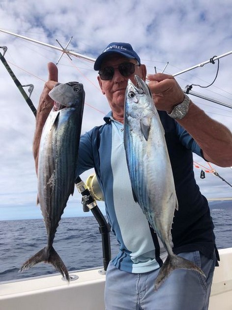 Skipjack Tuna Cavalier & Blue Marlin Sport Fishing Gran Canaria