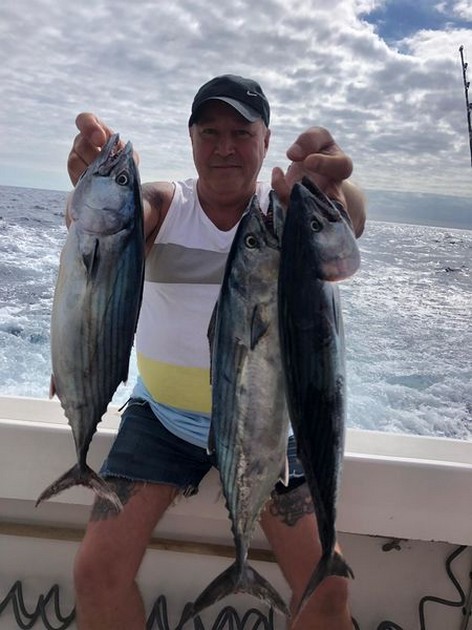 Skipjack Tuna Cavalier & Blue Marlin Sport Fishing Gran Canaria