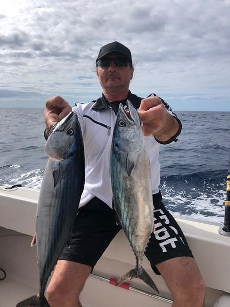 Skipjack Tuna Cavalier & Blue Marlin Sport Fishing Gran Canaria