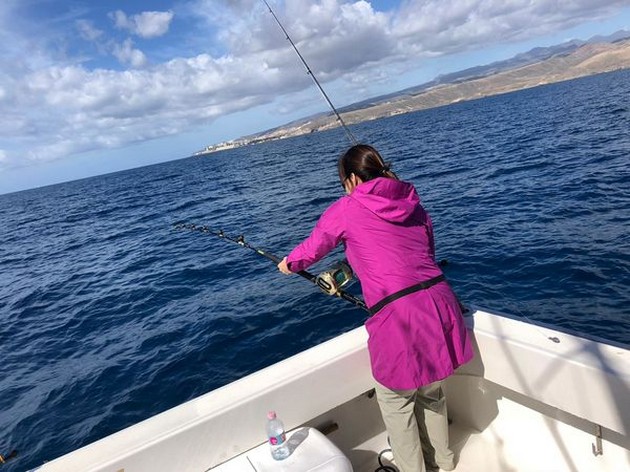 Hooked up Cavalier & Blue Marlin Sport Fishing Gran Canaria