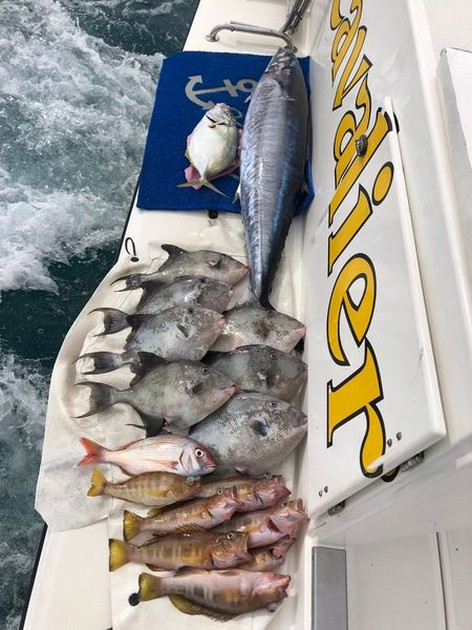  - Cavalier & Blue Marlin Sport Fishing Gran Canaria