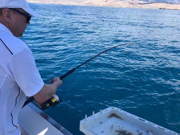 Hooked Up Cavalier & Blue Marlin Sport Fishing Gran Canaria