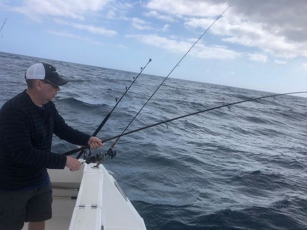 Hooked up Cavalier & Blue Marlin Sport Fishing Gran Canaria