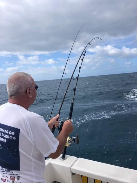 Hooked up Cavalier & Blue Marlin Sport Fishing Gran Canaria