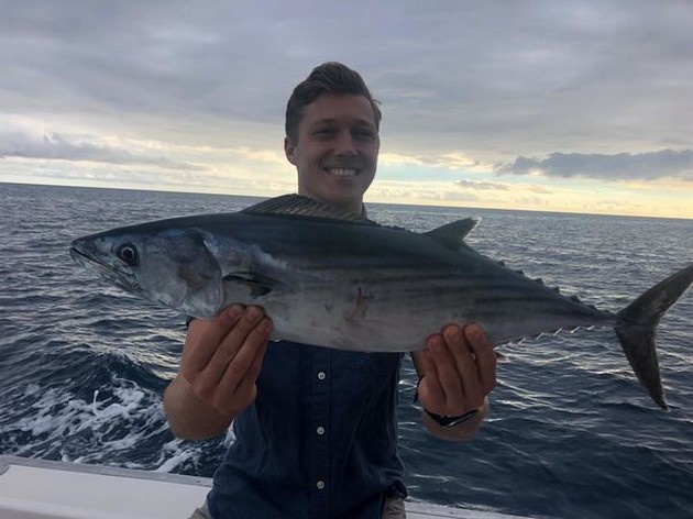 Atlantic Bonito Cavalier & Blue Marlin Sport Fishing Gran Canaria