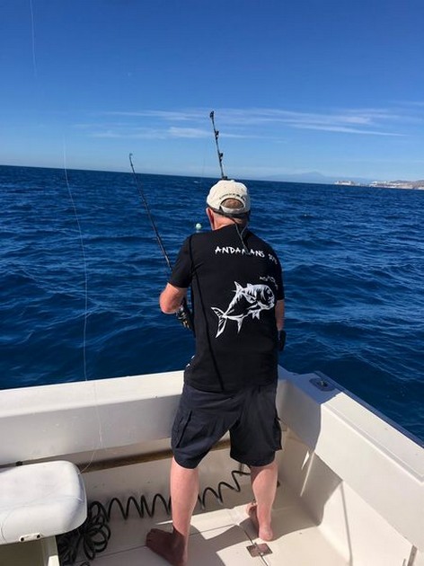 Hooked up Cavalier & Blue Marlin Sport Fishing Gran Canaria