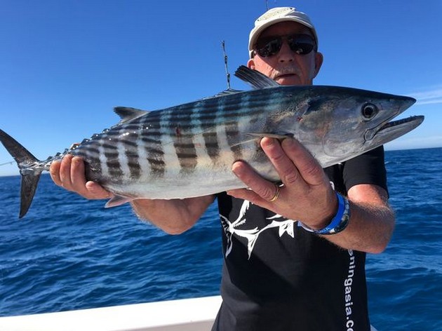 North Atlantic Bonito Cavalier & Blue Marlin Sport Fishing Gran Canaria