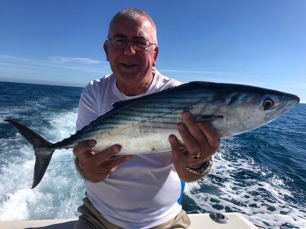 The Winner Cavalier & Blue Marlin Sport Fishing Gran Canaria