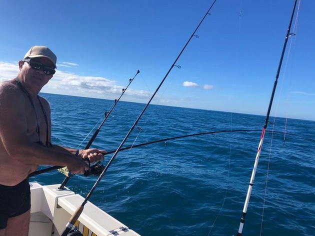 Hooked up Cavalier & Blue Marlin Sport Fishing Gran Canaria