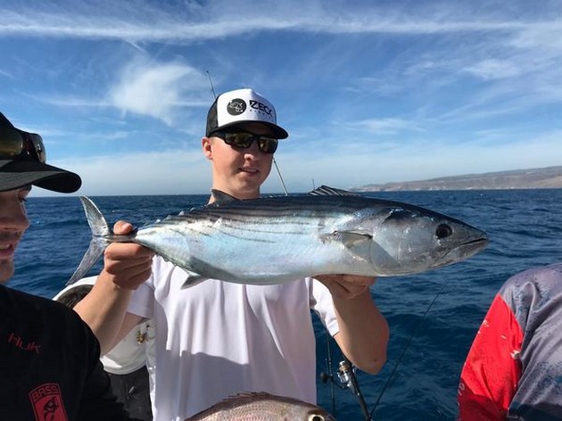 North Atlantic Bonito Cavalier & Blue Marlin Sport Fishing Gran Canaria