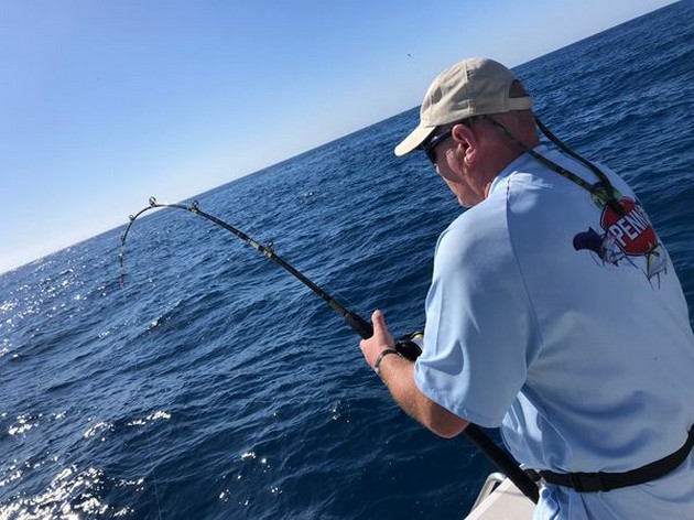 Hooked up Cavalier & Blue Marlin Sport Fishing Gran Canaria