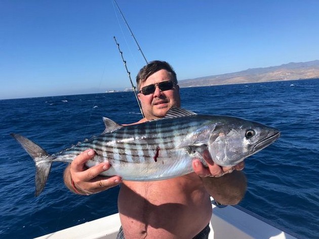 North Atlantic Bonito Cavalier & Blue Marlin Sport Fishing Gran Canaria