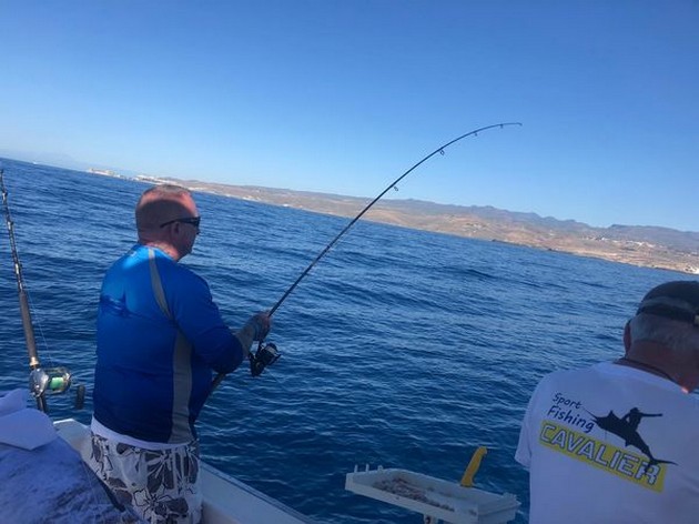 Hooked up Cavalier & Blue Marlin Sport Fishing Gran Canaria