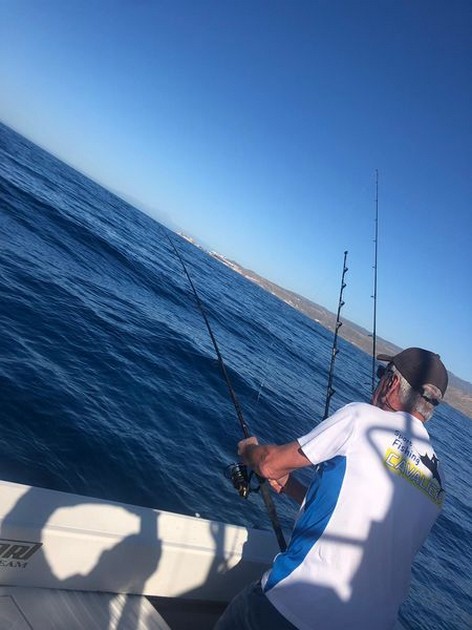 Hooked up Cavalier & Blue Marlin Sport Fishing Gran Canaria