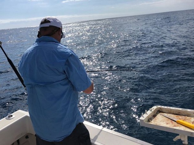 Hooked up Cavalier & Blue Marlin Sport Fishing Gran Canaria