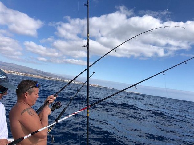 Hooked up Cavalier & Blue Marlin Sport Fishing Gran Canaria