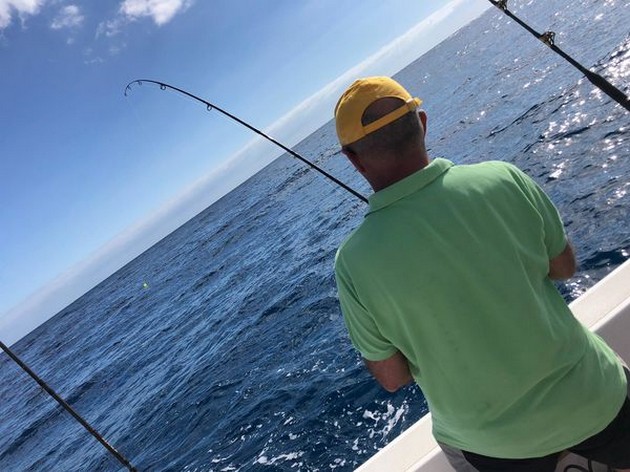 Hooked up Cavalier & Blue Marlin Sport Fishing Gran Canaria