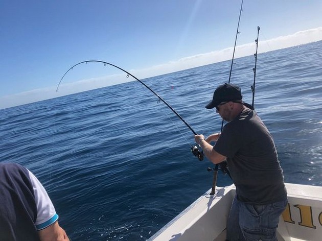 Hooked up Cavalier & Blue Marlin Sport Fishing Gran Canaria