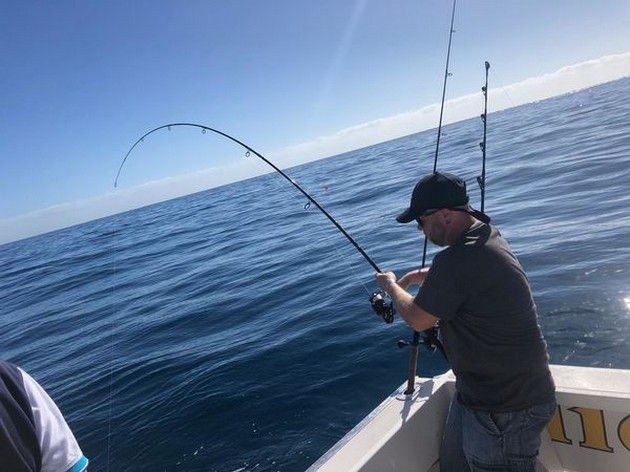 North Atlantic Bonito Cavalier & Blue Marlin Sport Fishing Gran Canaria