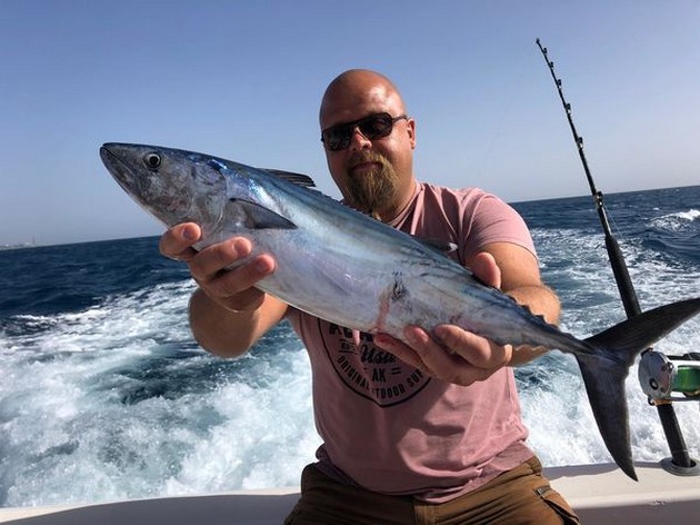 North Atlantic Bonito Cavalier & Blue Marlin Sport Fishing Gran Canaria