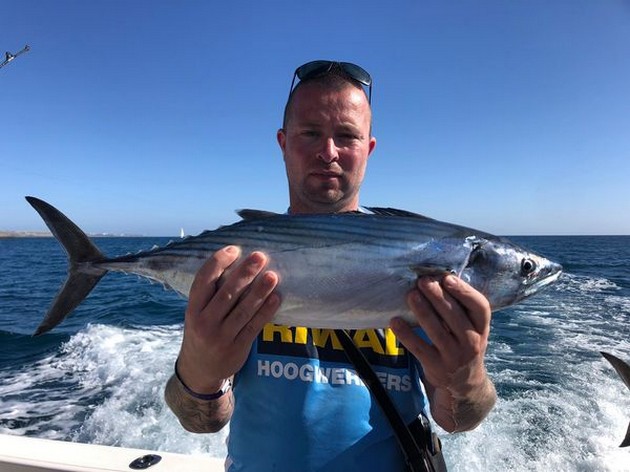 North Atlantic Bonito Cavalier & Blue Marlin Sport Fishing Gran Canaria