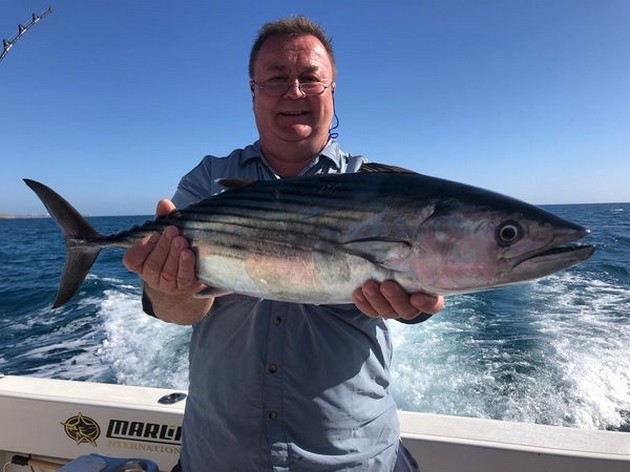 North Atlantic Bonito Cavalier & Blue Marlin Sport Fishing Gran Canaria