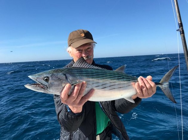 North Atlantic Bonito Cavalier & Blue Marlin Sport Fishing Gran Canaria