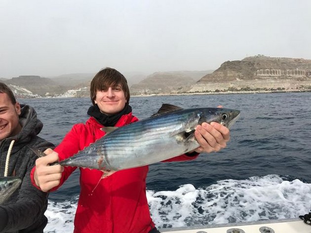 North Atlantic Bonito Cavalier & Blue Marlin Sport Fishing Gran Canaria