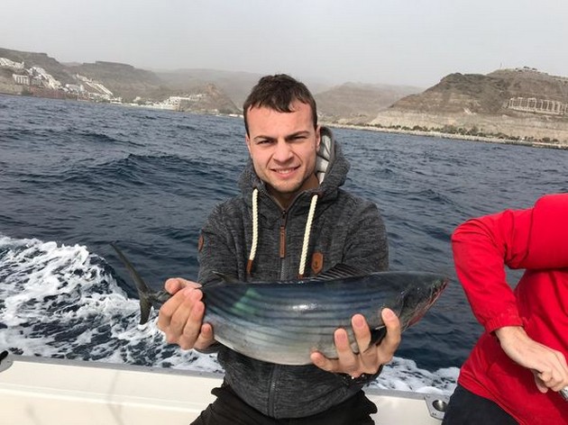 North Atlantic Bonito Cavalier & Blue Marlin Sport Fishing Gran Canaria
