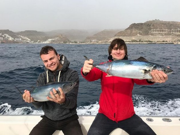 North Atlantic Bonito Cavalier & Blue Marlin Sport Fishing Gran Canaria