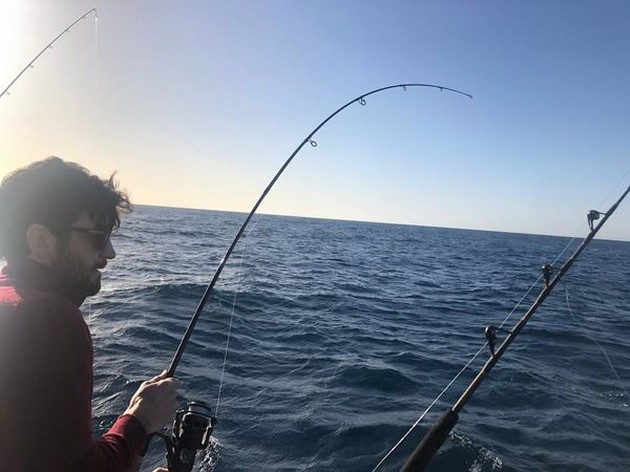 Hooked up Cavalier & Blue Marlin Sport Fishing Gran Canaria