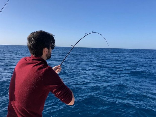 Hooked up Cavalier & Blue Marlin Sport Fishing Gran Canaria