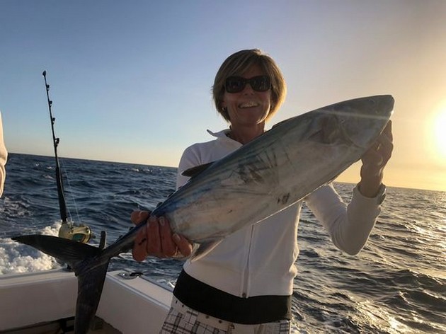 North Atlantic Bonito Cavalier & Blue Marlin Sport Fishing Gran Canaria