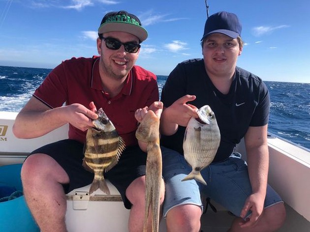 Striped Seabream Cavalier & Blue Marlin Sport Fishing Gran Canaria