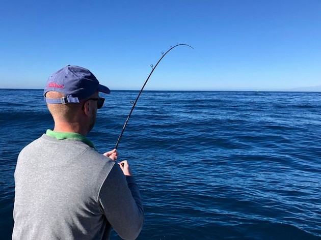 Hooked up Cavalier & Blue Marlin Sport Fishing Gran Canaria